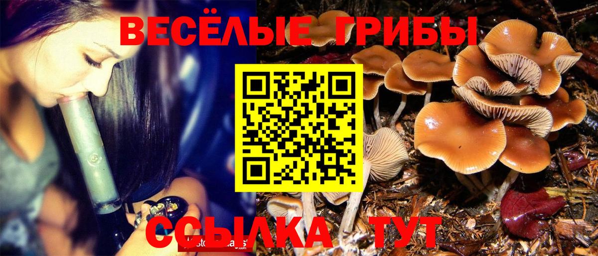 Галлюциногенные грибы ЛСД Камышин